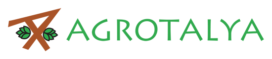 Agrotalya